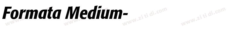 Formata Medium字体转换